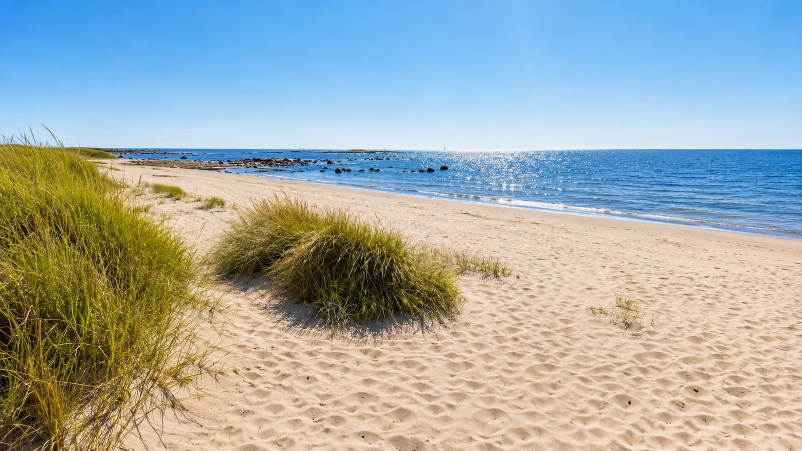 Ädelrosvägen 5 · 1.5 rum · 21 kvm – bild 16