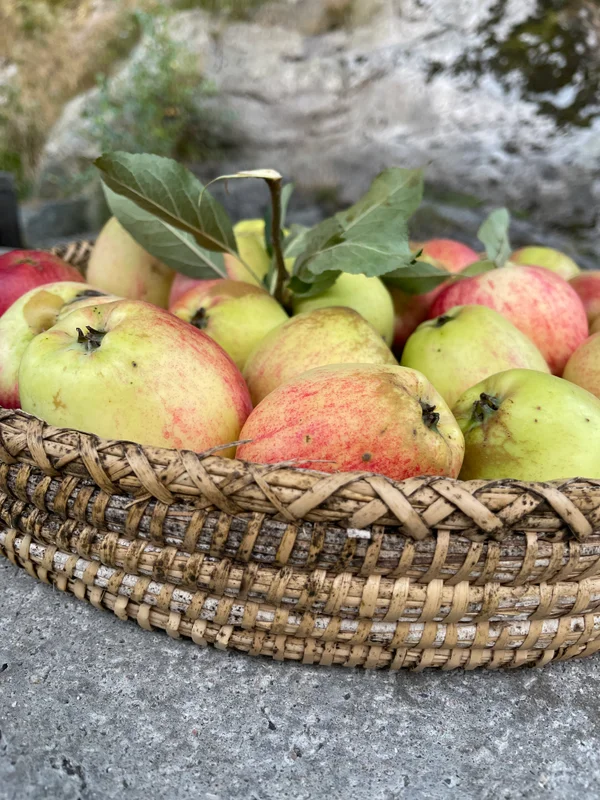 Brandskattevägen 5 · 3 rum · 80 kvm – bild 10