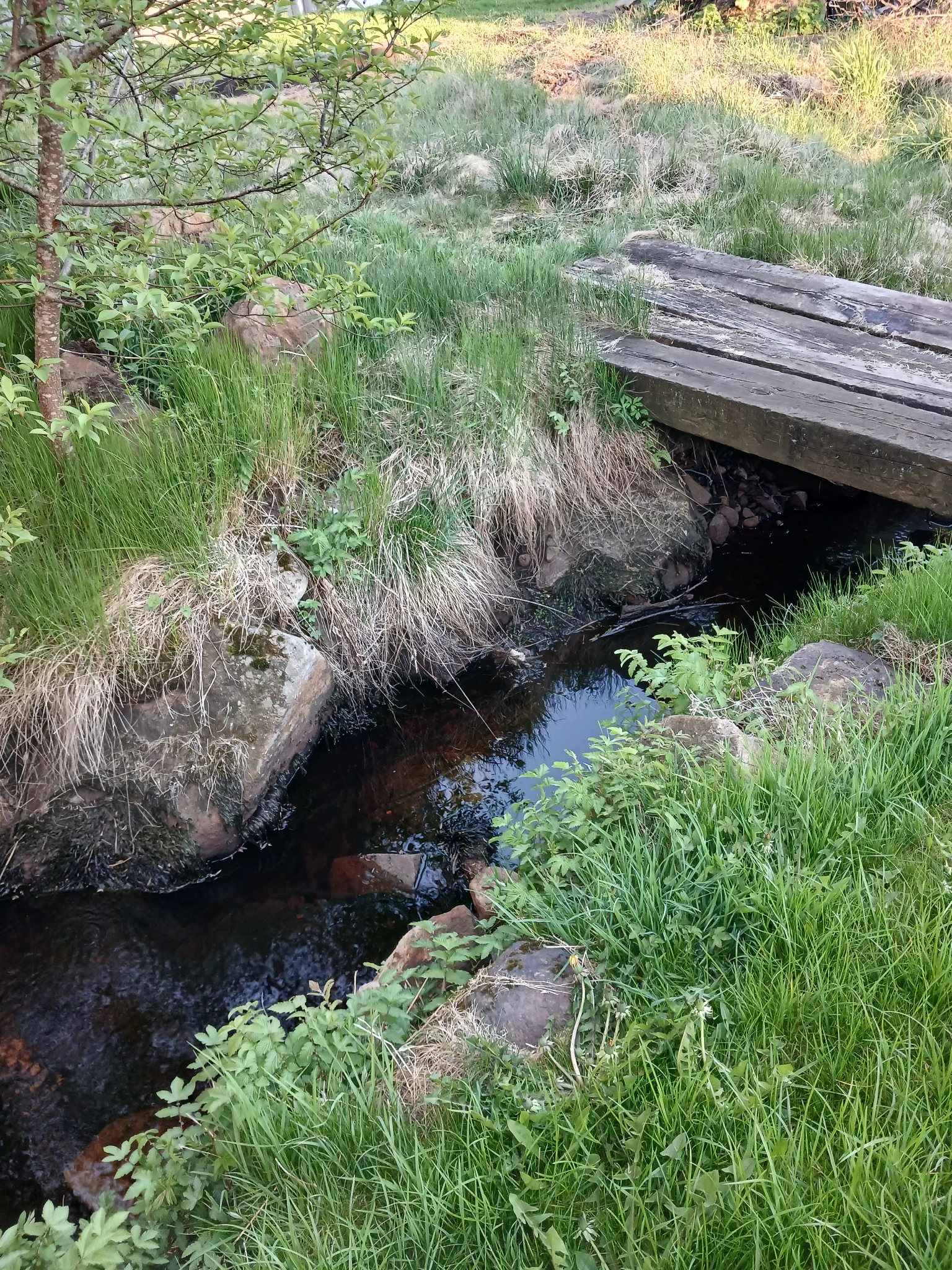 Vedumsvägen 10 · 1.5 rum · 60 kvm – bild 5