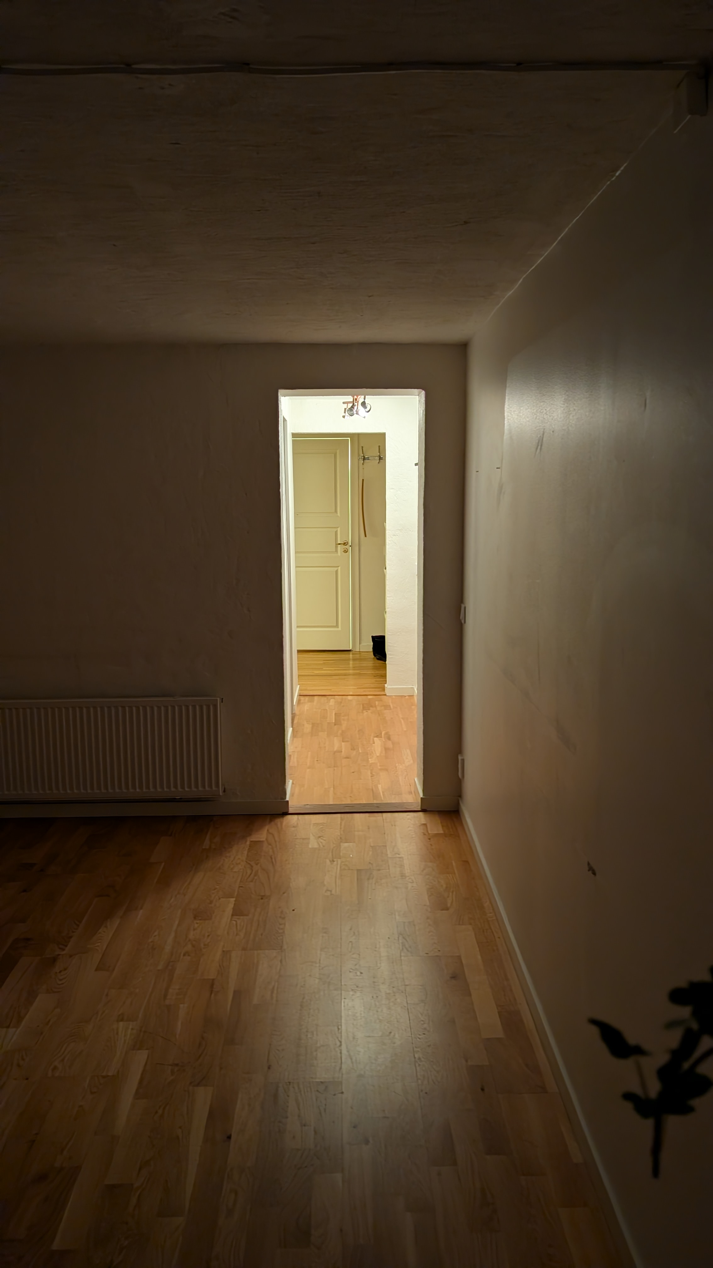 Thunbergsgatan 19