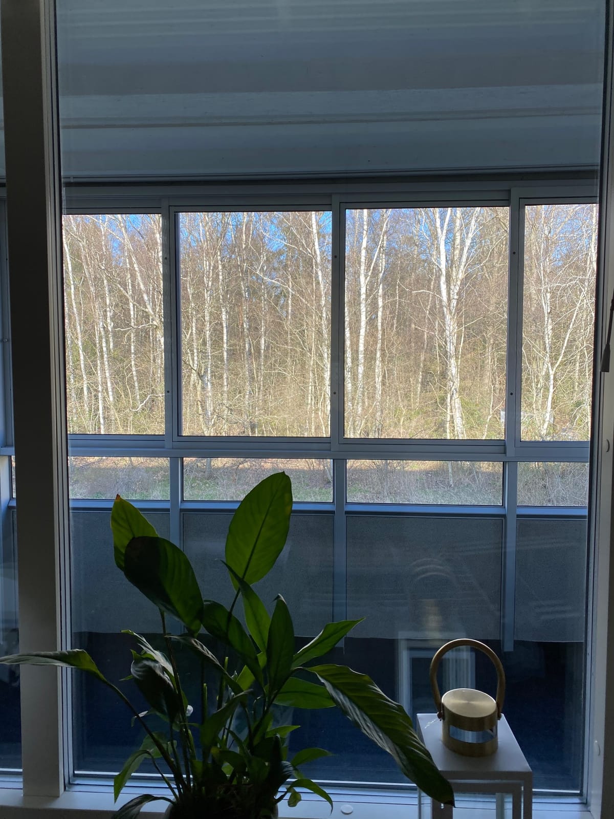 Norrlidsvägen 48 · 1.5 rum · 39 kvm – bild 8