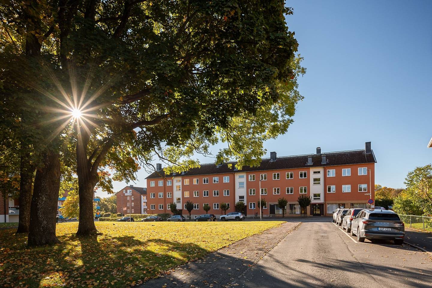 Älgstigen 1