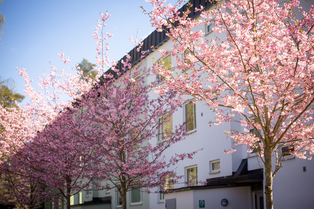 Lägenhet, 2 rooms, 68 sqm, Katrineholm