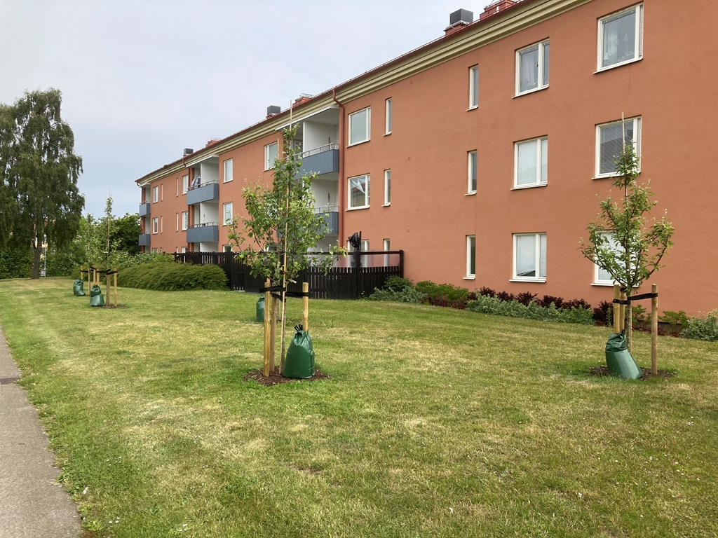 Bruksgatan 9 D