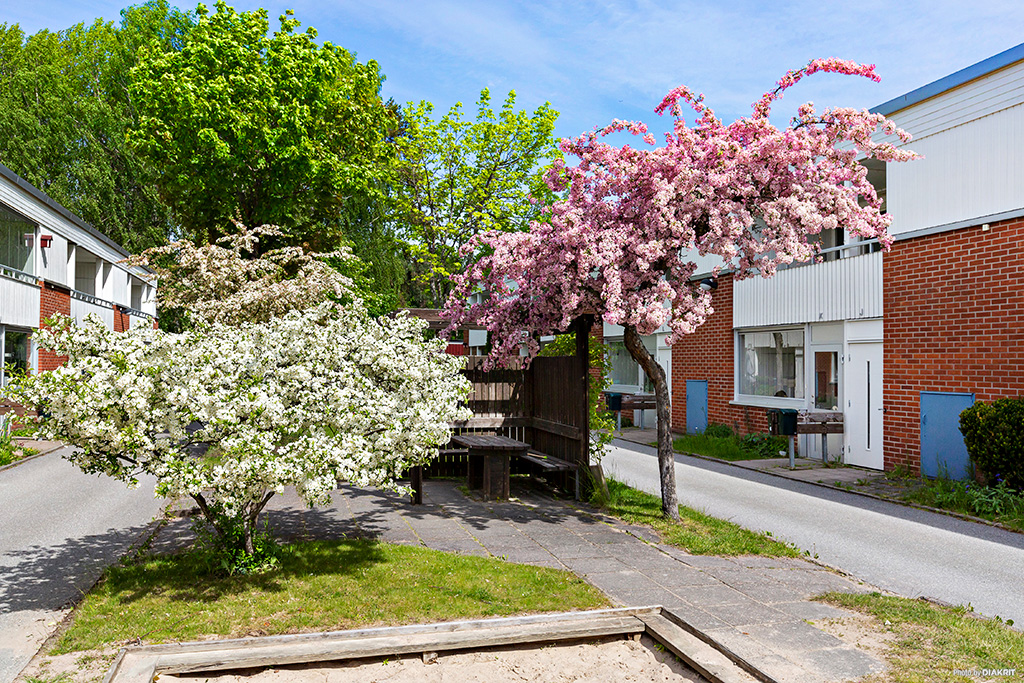 Björkrisvägen 14 S