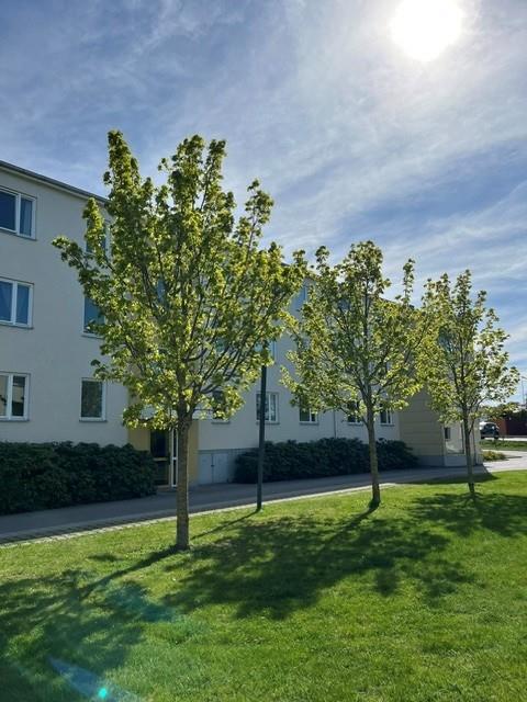 Lägenhet, 2 rooms, 61 sqm, Söderköping