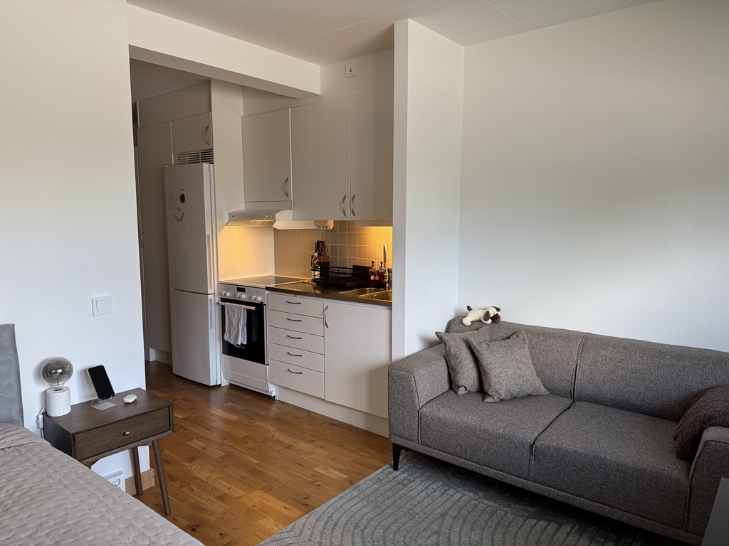 Lägenhet, 1 rooms, 29 sqm, Helsingborg