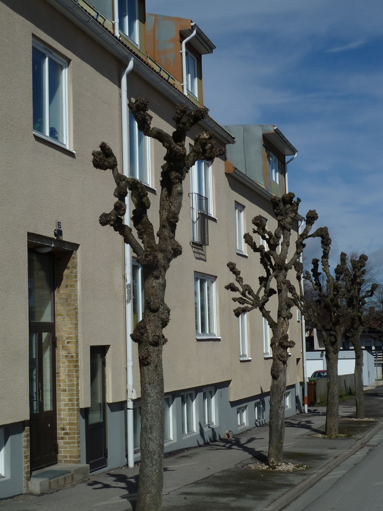 Bergsgatan 6
