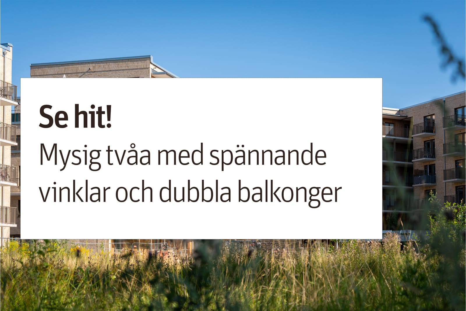 Tamarindvägen 2