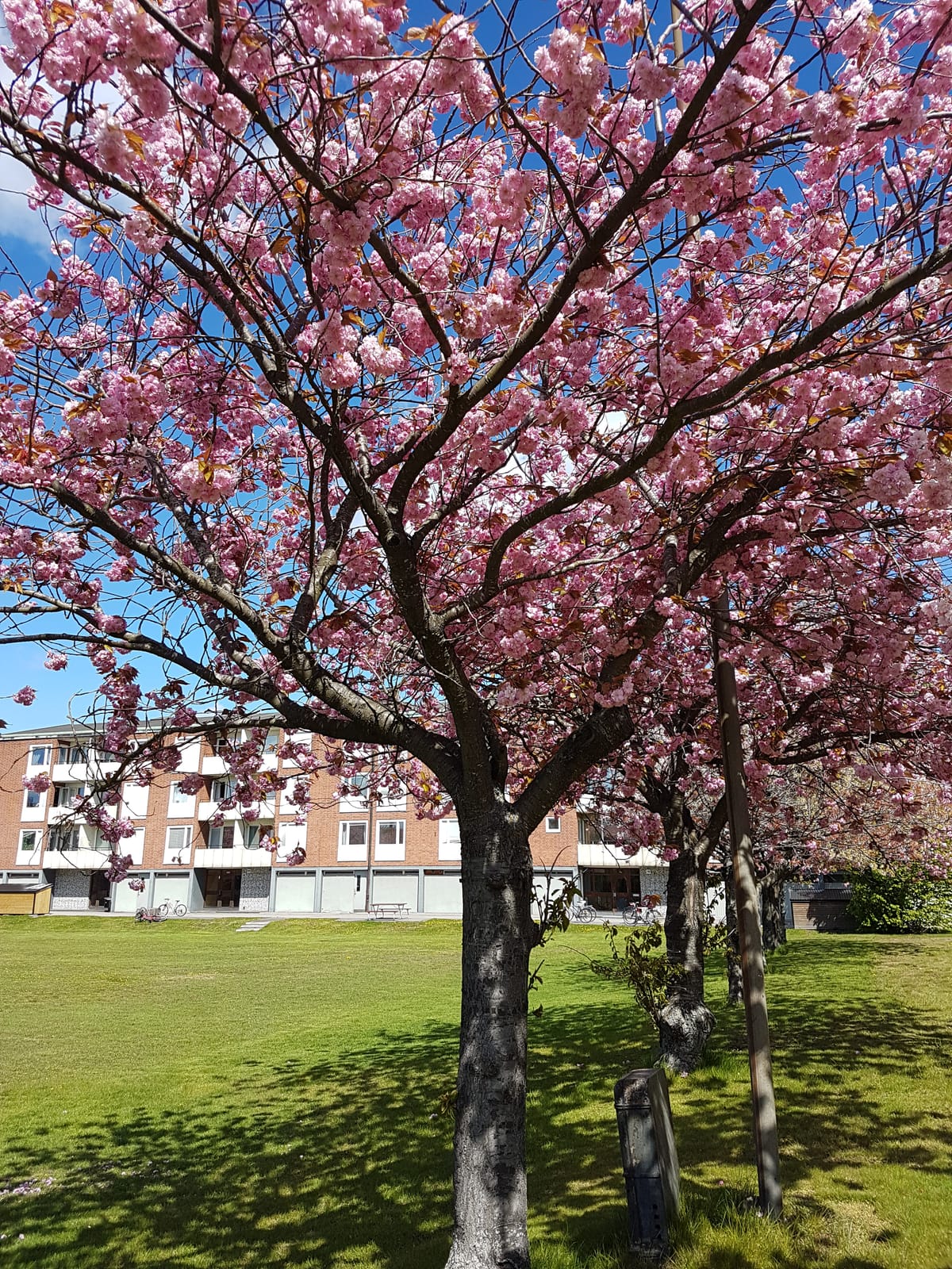 Sjögatan 18