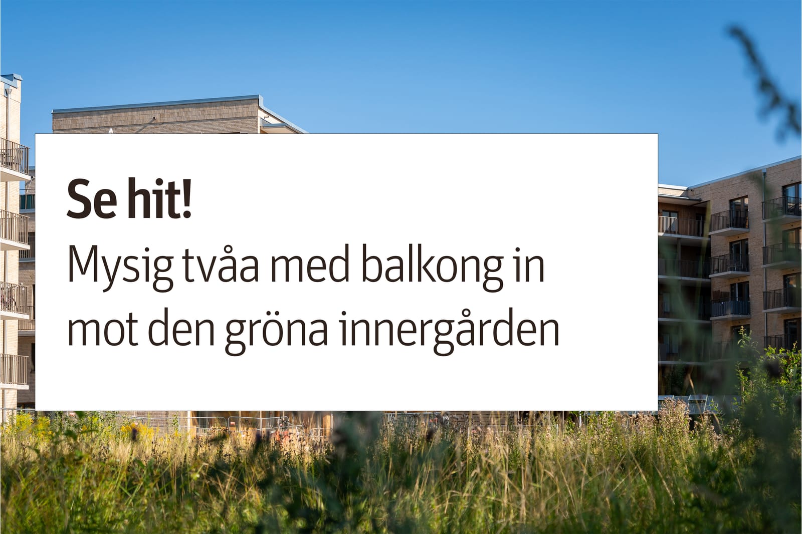 Tamarindvägen 2