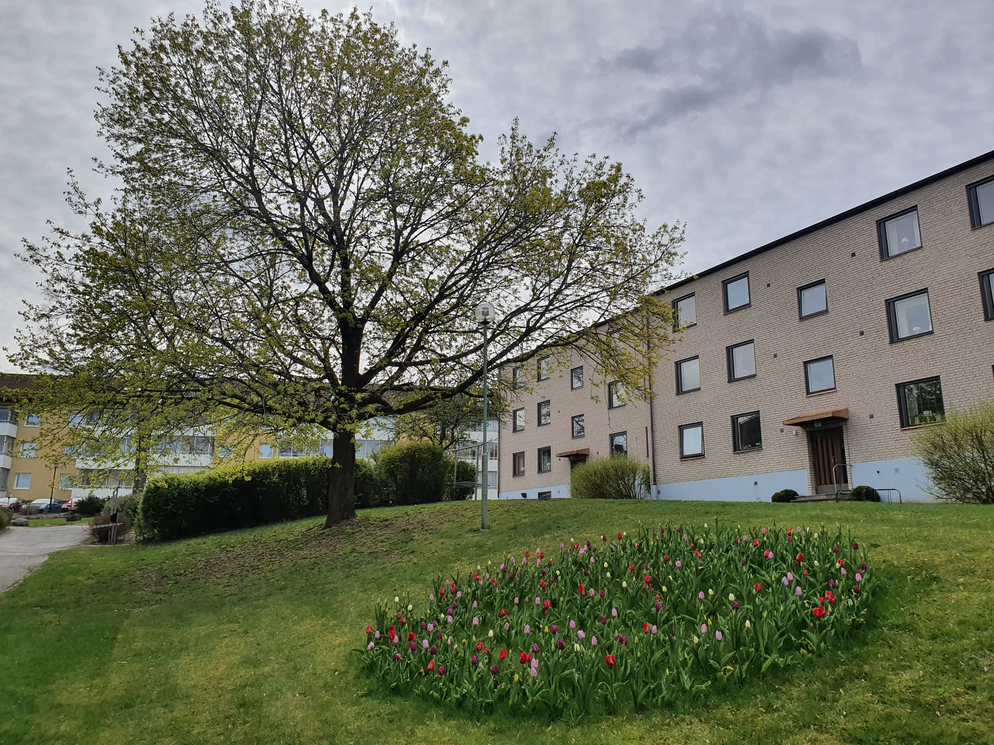 Norra Sjöbogatan 32