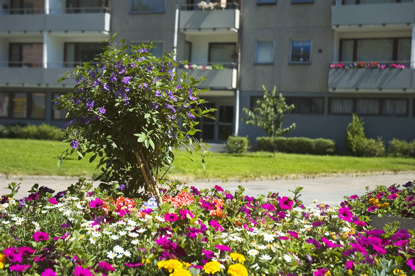 Sångspelsgatan 2 – bild 3