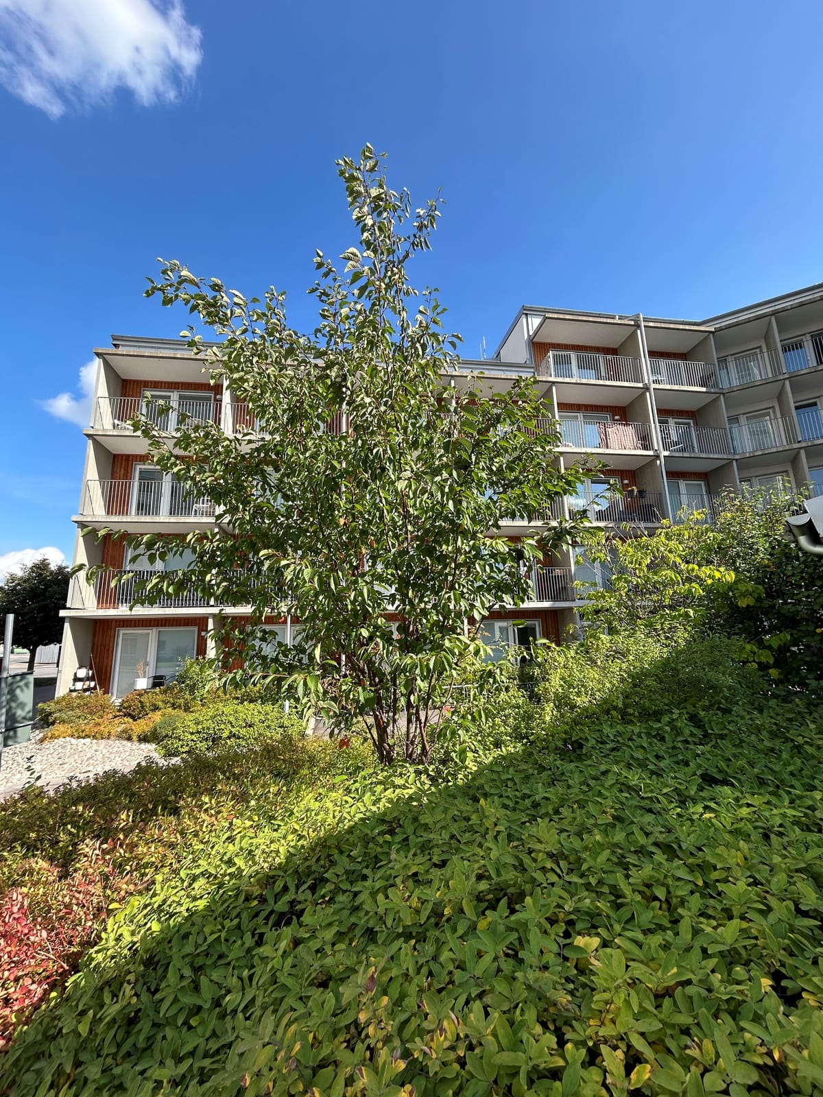 Johanneshöjden 1
