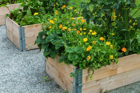 Sjöjungfrugatan 17 – bild 3