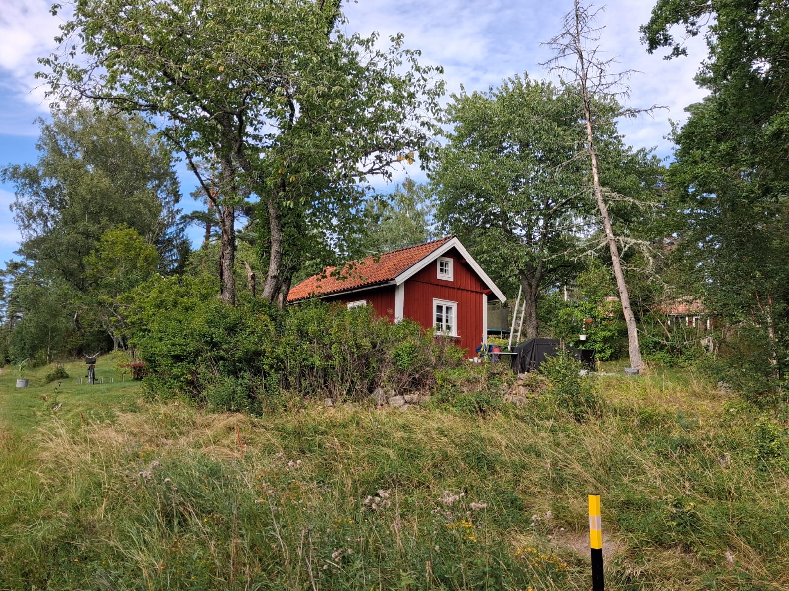 MÅSTENA 8