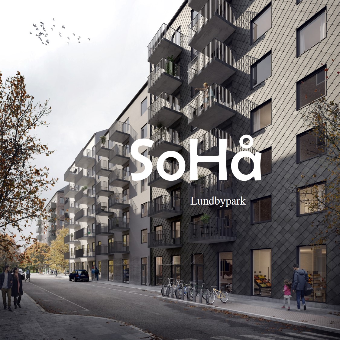 Trollhasselgatan 24