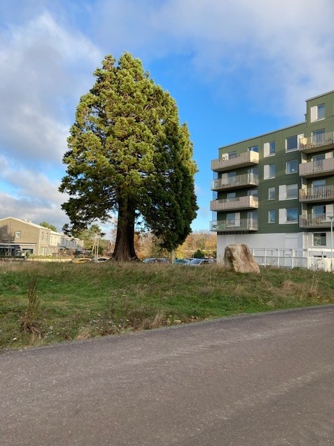 Einar Olssons gata 7