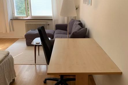 Möblerad 1:a i Lunden uthyres tillfälligt
