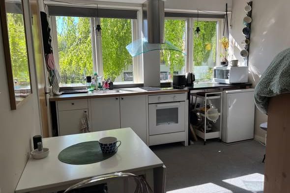 Sommar 1 rok i Professorstaden, Lund
