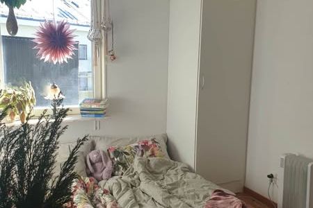 Centralt rum i Uppsala – roommate sökes!