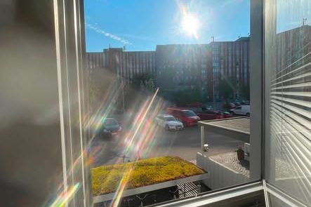 Mysig 1:a i Mossen – Nära Chalmers