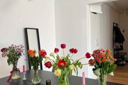 Central Malmö Room for Female Tenant