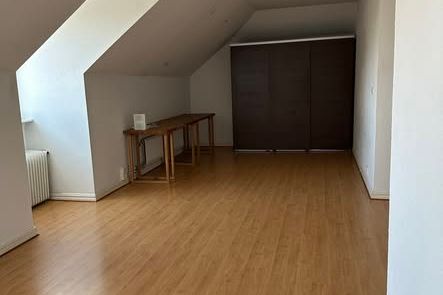 Stor vindsetta med parkutsikt