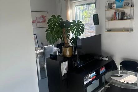 Sommar i Majorna – nära Mariaplan