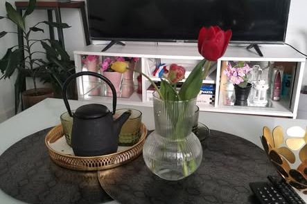Rum i nybyggt radhus nära stan