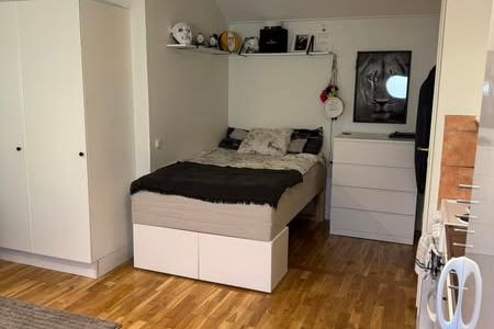 Mysig möblerad 1:a centralt i Jönköping