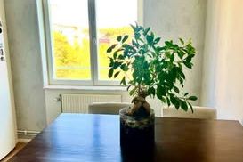 4 rok i Edsberg, Sollentuna – 15 000 kr – Sollentuna