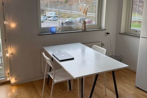 Möblerad 1:a i Eriksberg, 3-4 mån