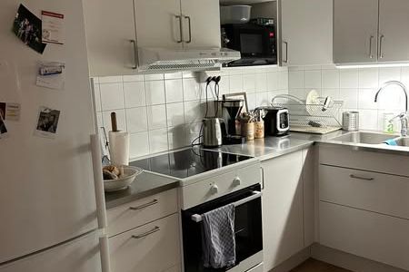 Möblerad etta nära SLU med uteplats