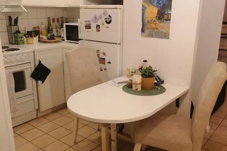 Charmig 1:a med terrass nära Sankt Hans park