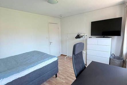 Luthagen, Uppsala