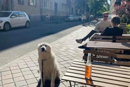 Charmig 3 rok vid Folkets Park