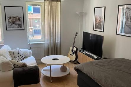 Mysig 1 rok i Linné nära Chalmers