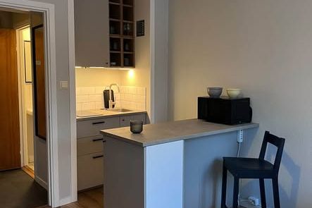 Nyrenoverad etta med balkong nära LTH