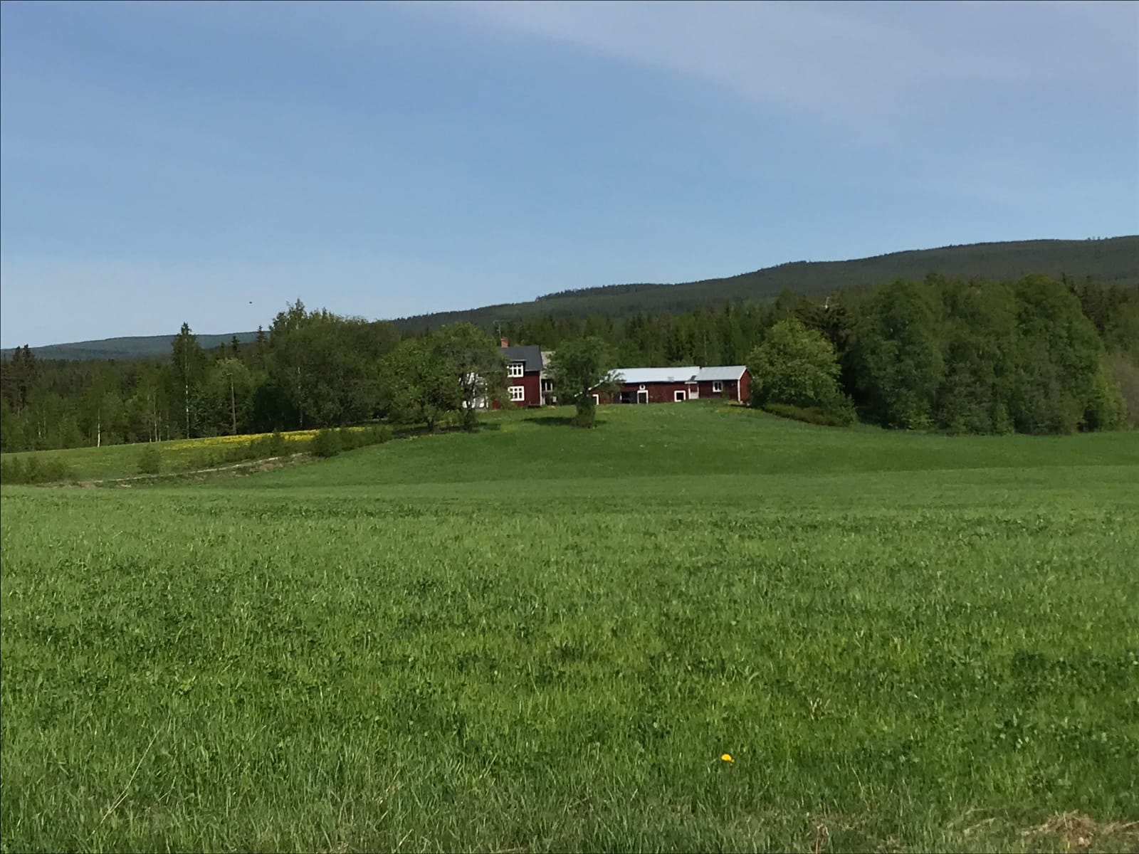 Tallbacken 22, Bjuråker