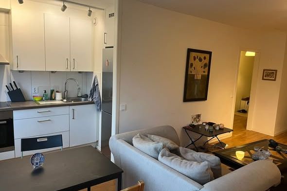 Ljus och rymlig 1:a 46 kvm i Malmö C