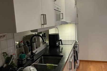 Möblerad 1:a i Luthagen nära Ekonomikum