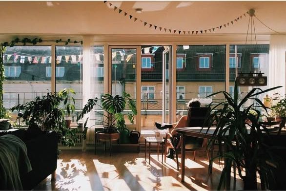Östra Förstadsgatan 50, Malmö