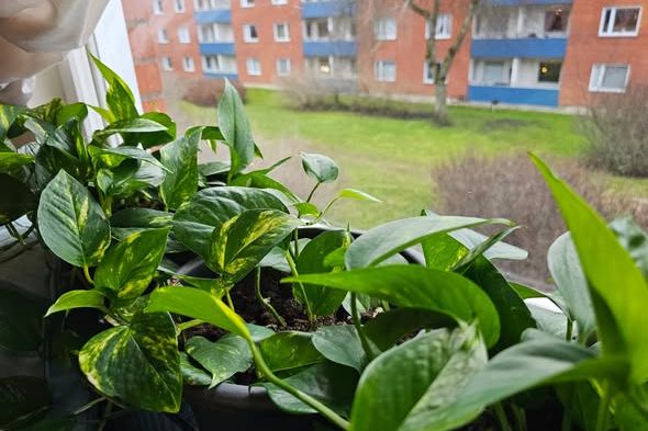 Möblerat rum i lugna Hamberg