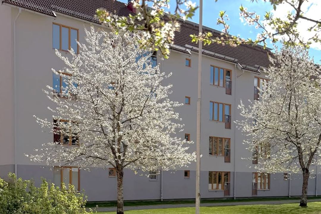 Yteffektiv 1:a i Handen – 24 kvm