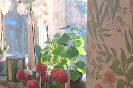 Sommar i Stureby – 2:a med balkong