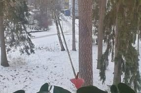 Rum i 3:a uthyres i Husby nära T-bana
