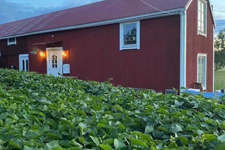 Lantlig uthyrningsstuga Dalby Uppsala