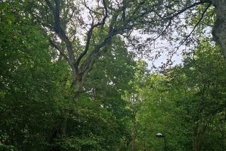 Lägenhet uthyres i natursköna Bromma/Åkeshov