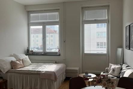 Möblerad 1:a nära Högskolan – 28 kvm
